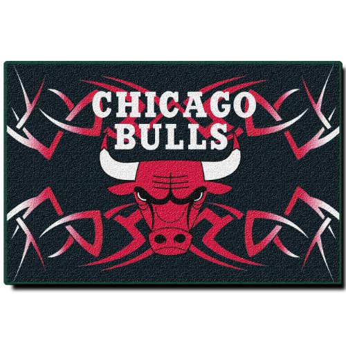 Chicago Bulls 20" x 30" Rug