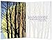 Tree-Free Greetings 12-Count Winter Solstice Card Set with Envelopes, 4
