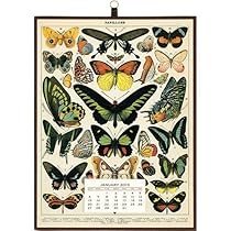2013 Butterflies Vintage Calendar