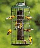 Squirrel Proof Thistle (Nyjer) Feeder, Finch Heaven