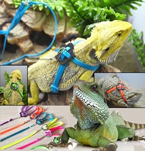 Generic Adjustable Reptile Lizard Harness Leash Adjustable Multicolor Light Soft Fashion (Blue)