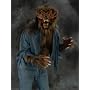 Wolf (Werewolf) Shirt Adult Halloween Costume Size Standard (DC1003) (DZ2)