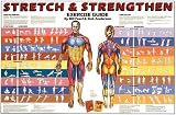 Stretch & Strengthen Anatomical Chart Laminated