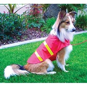 Safety Vest - Small