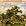 Elgar: Symphony No.2 in E Flat Major Op.63