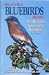 Enjoying Bluebirds More, The Bluebird Landlords Handbook