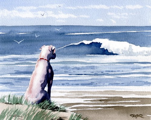 White Boxer At the Beach Dog Art Print By Artist Dj Rogers