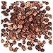 Natural Mini Pinecones | 5 Ounces