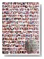 MERRY MESSAGE DVD