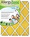 AllergyZone AZ16201 Air Filter for Allergy Sufferers, 16 x 20 x 1