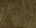 Queen Size Futon Cover-Corded Pond on Olive * Made of Heavy Duty Italian Fabric