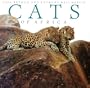 Cats of Africa