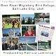 Audio Journeys: Bear River Migratory Bird Refuge, Salt Lake City, Utah