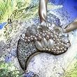 AKT Moon Reefer and Me Ivory Pearl Neckpiece (Great Barrier Reef)