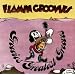 Groovies Greatest Grooves
