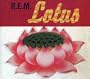 Lotus