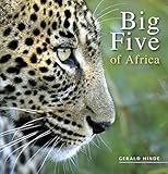 Big five of Africa