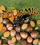 Les fourmis