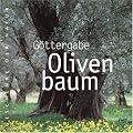 G�ttergabe Olivenbaum