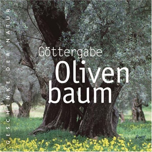 Olivenbaum