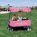 The Princess Fold-it & Go Childrens Folding Wagon