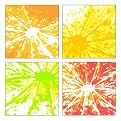 Citrus Burst Collection
