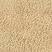 Garland Rug Jazz Shaggy Washable Nylon Rug, 24-Inch by 40-Inch, Linen