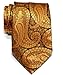 Retreez Paisley Art Pattern Woven Microfiber Men's Tie - Gold on Black