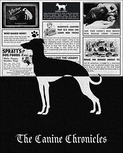 16x20 Custom Canvas Italian Greyhound Dog Breed Canine Chronicles Newspaper Ads Personalized Dog Breed Art Print