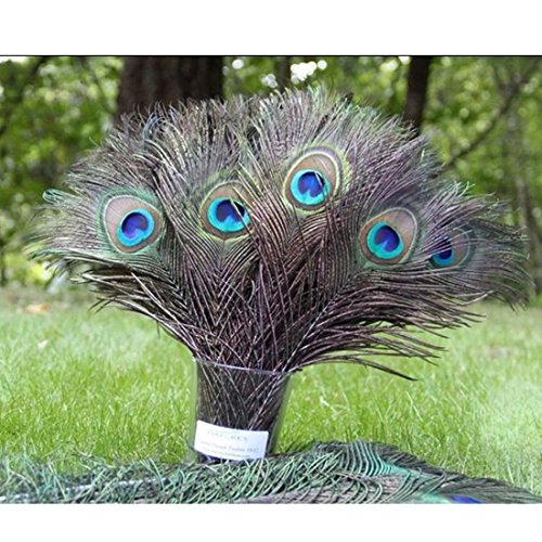 High Quality Natural Peacock Feathers 10