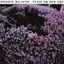 Alive As You Are [+Digital Booklet]