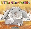 Little Grey Bunny (A Beautifully Illustrated Children's Picture Book; Perfect Bedtime Story)