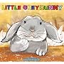 Little Grey Bunny (A Beautifully Illustrated Child&hellip de Be�ta No�mi B�lint