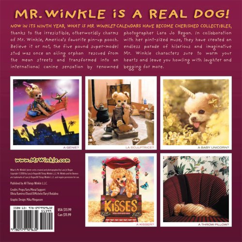 What is Mr. Winkle? 2009 under Animals in The Books Store