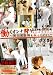 働くオンナ狩り12 SP [DVD]