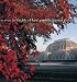 A Year in the Life of Kew Gardens