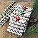 Outside the Box Papers Gold and White Chevron Treat Sacks 5.5 x 7.5 48 Pack Gold, White