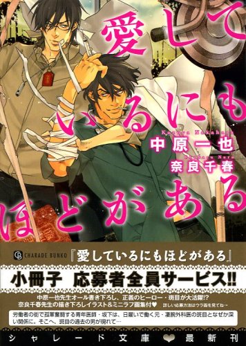 Cover image : 愛しているにもほどがある  (二見シャレード文庫 な 2-9)