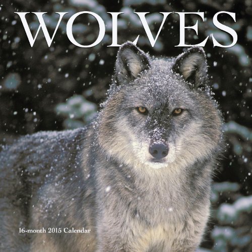 wolves wall calendar 2015