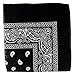 Mechaly Paisley 100% Cotton Bandanas