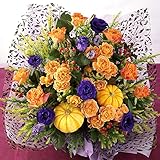 BunBunBee ハッピーハロウィン・アレンジ「ノーブル♪パンプキン」