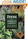 Ferns for American Gardens