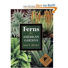 Ferns for American Gardens