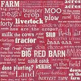 12x12 Ppr Ffa Farm Words 25/pk