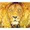 Caldecott Winners Gallery