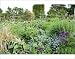 Photographic Prints of Mixed flowerbeds in the Summer from Science Photo Library