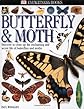 Butterfly & Moth