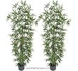 TWO Pre-Potted 6' Artificial Bamboo Trees with REAL BAMBOO TRUNKS, 3 Iris Stems Free with Purchase (retail price $23.07)