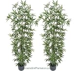 TWO Pre-Potted 6' Artificial Bamboo Trees with REAL BAMBOO TRUNKS