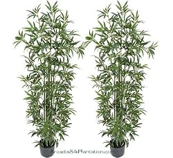 TWO Pre-Potted 6' Artificial Bamboo Trees with REAL BAMBOO TRUNKS, 3 Iris Stems Free with Purchase (retail price $23.07)